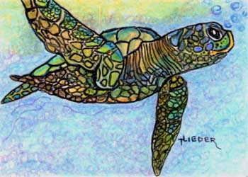"Terrapin Quest" by Tom Lieder, Janesville WI  - Colored Pencil & Ink - SOLD